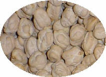 Garbanzo Blanco Lechoso