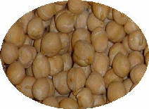 Garbanzo Pedrosillano