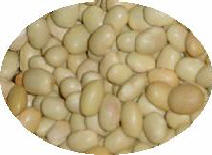 Faba Amarilla Pola