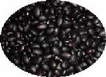 Frejolillo Negro