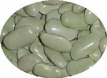 Faba Verdina