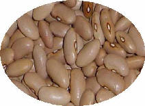 Faba Canela