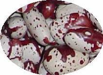 Faba del Mandilin